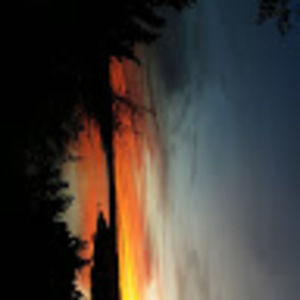 Meet your Posher, Curtis